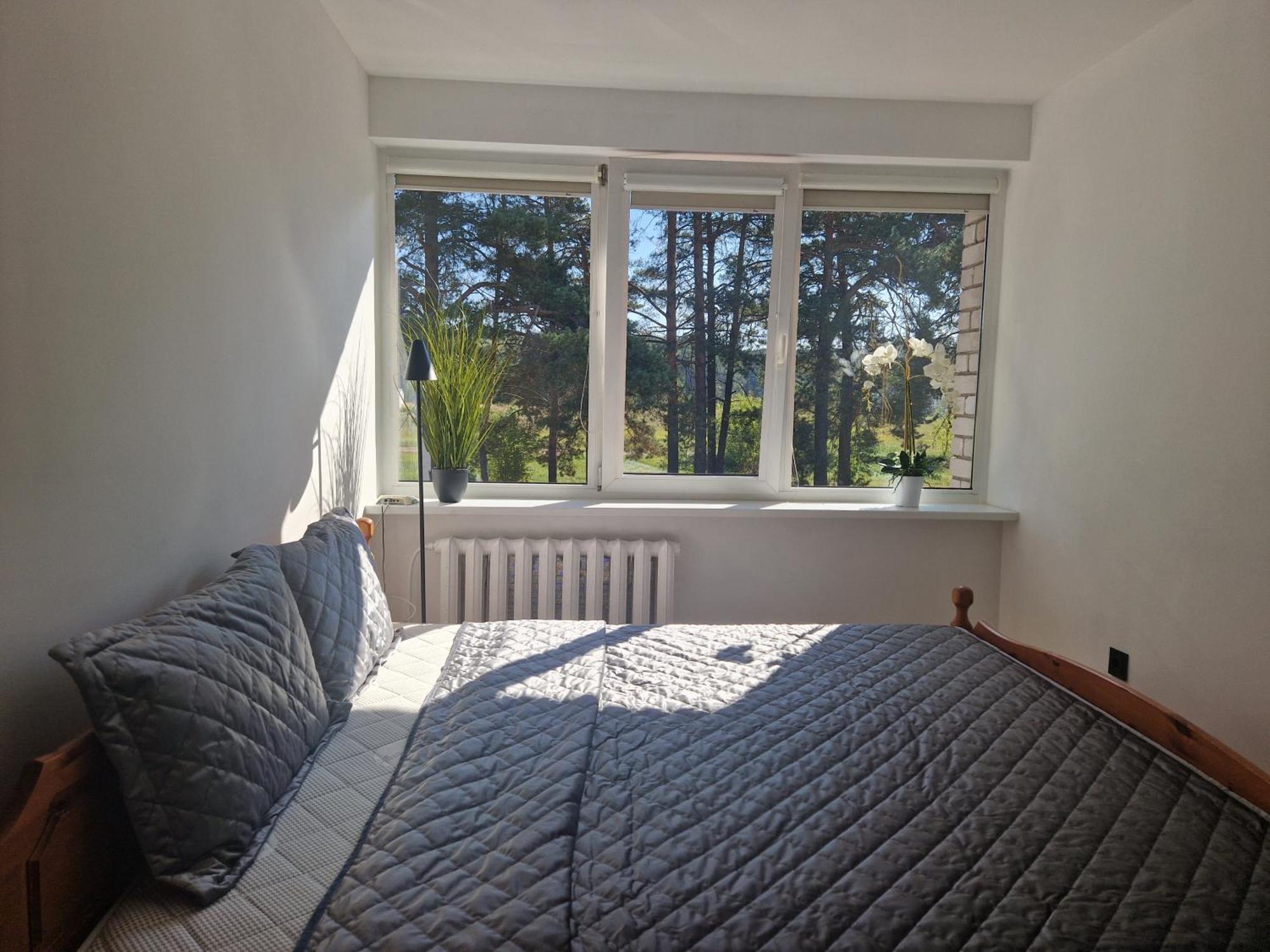 Duplex Apartment Vilte ドルスキニンカイ エクステリア 写真
