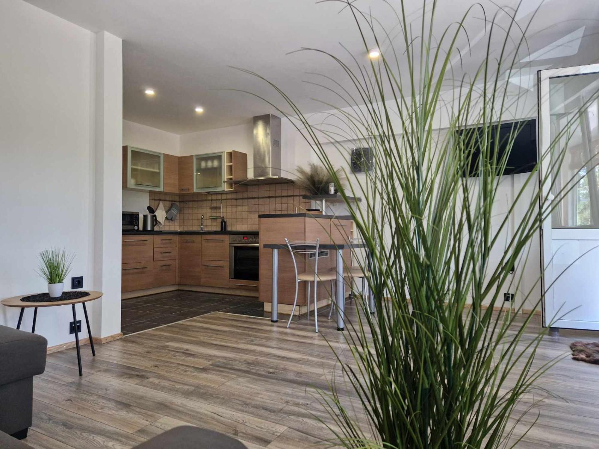 Duplex Apartment Vilte ドルスキニンカイ エクステリア 写真
